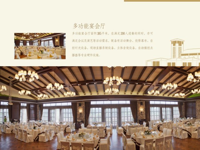 ���Ӻ��߶�����ֲ�